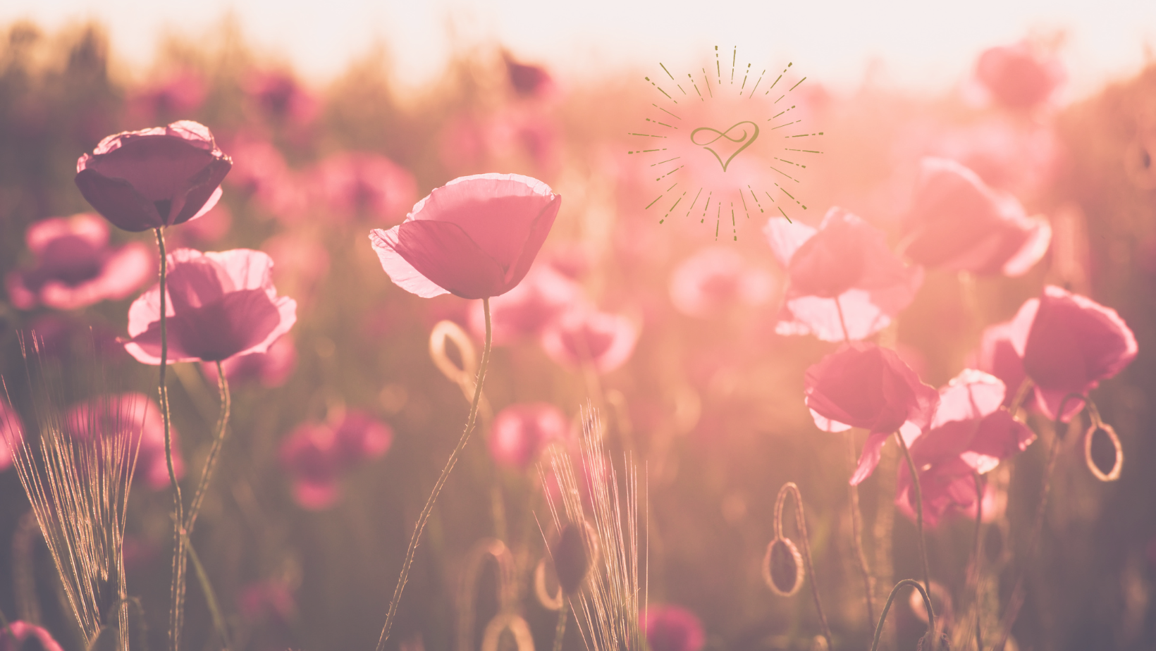 Header Mediale Beratung