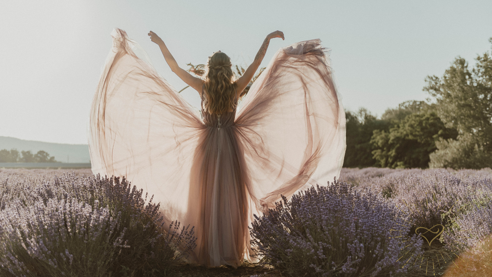 Header GI Venus Code